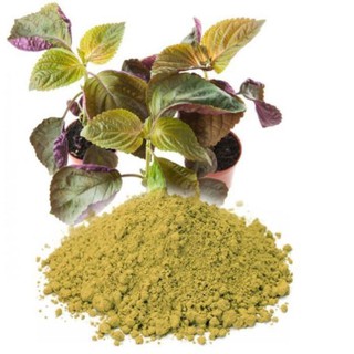 Bột tía tô nguyên chất quảng thanh 100g