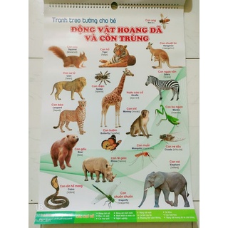 TRANH TREO TƯỜNG 14CHỦ ĐỀ CHO BÉ