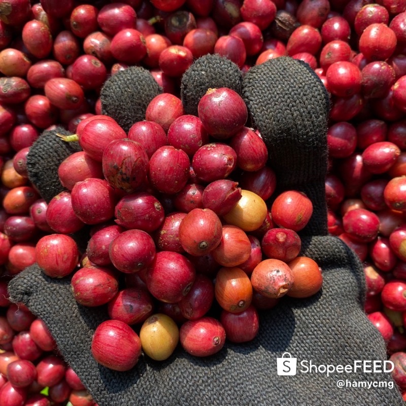 Cà phê rang xay Blend (Robusta-Arabica) nguyên chất vị truyền thống, đậm đà, hương thơm, hậu vị ngọt - DAMREY COFFEE | BigBuy360 - bigbuy360.vn
