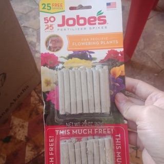 Phân que jobes