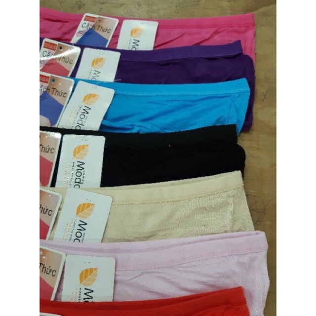 (8008) quần lót moda, to đại chất cotton ,có đủ size ,từ 40_75 kg
