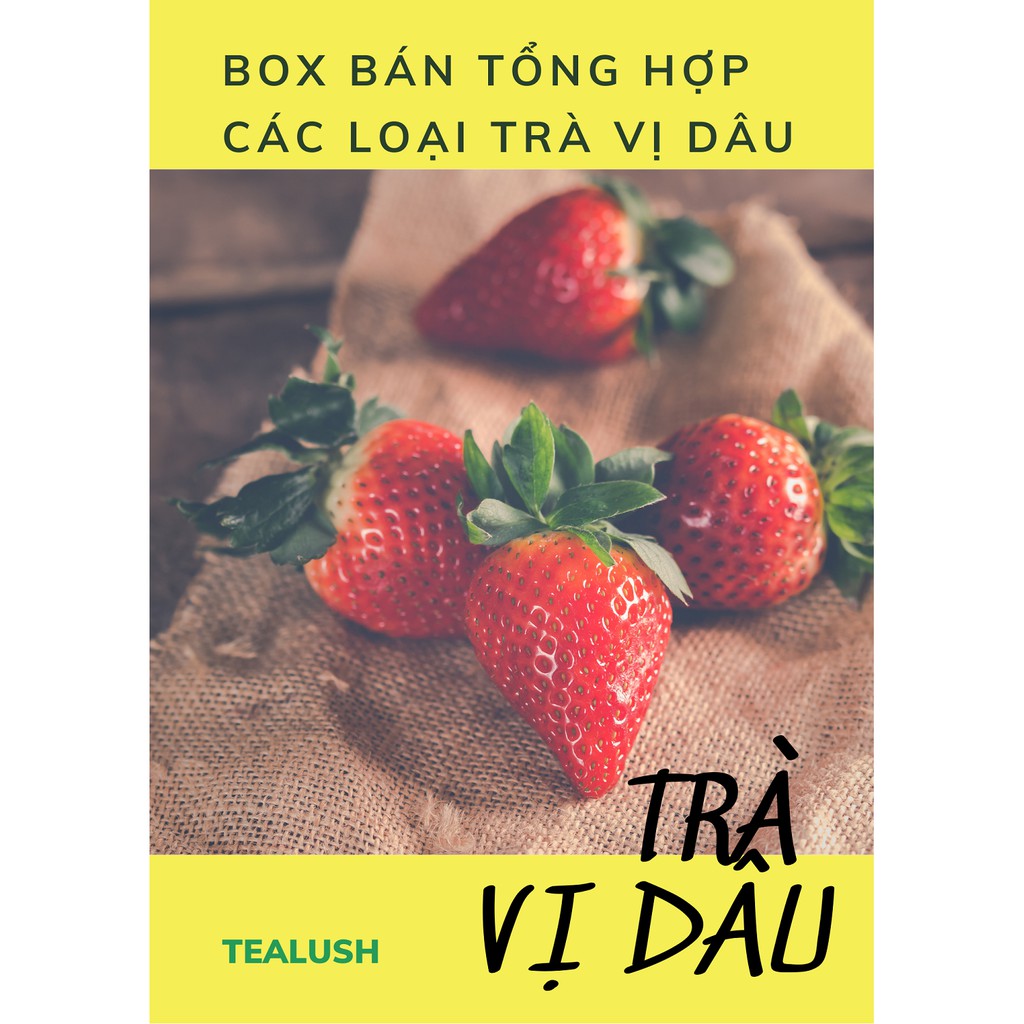 TRÀ VỊ DÂU TÚI LỌC - [BOX BÁN THEO CHỦ ĐỀ]