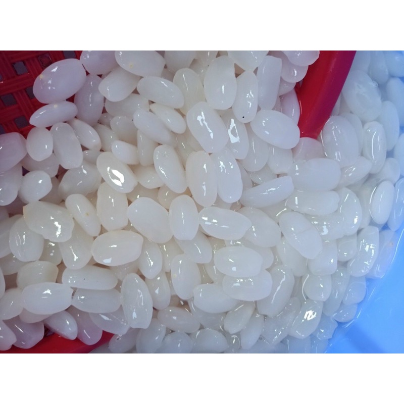 Hạt đác tươi Khánh Hoà