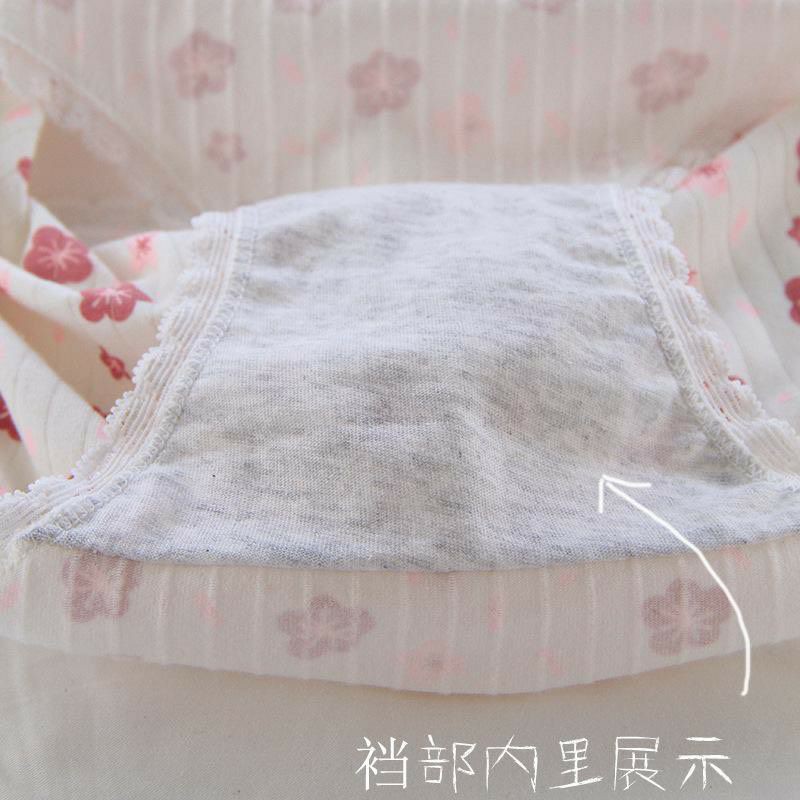 Quần Lót Cotton Co Dãn 4 Chiều Phối Họa Tiết Hoa Anh Đào Rễ Thương (d)