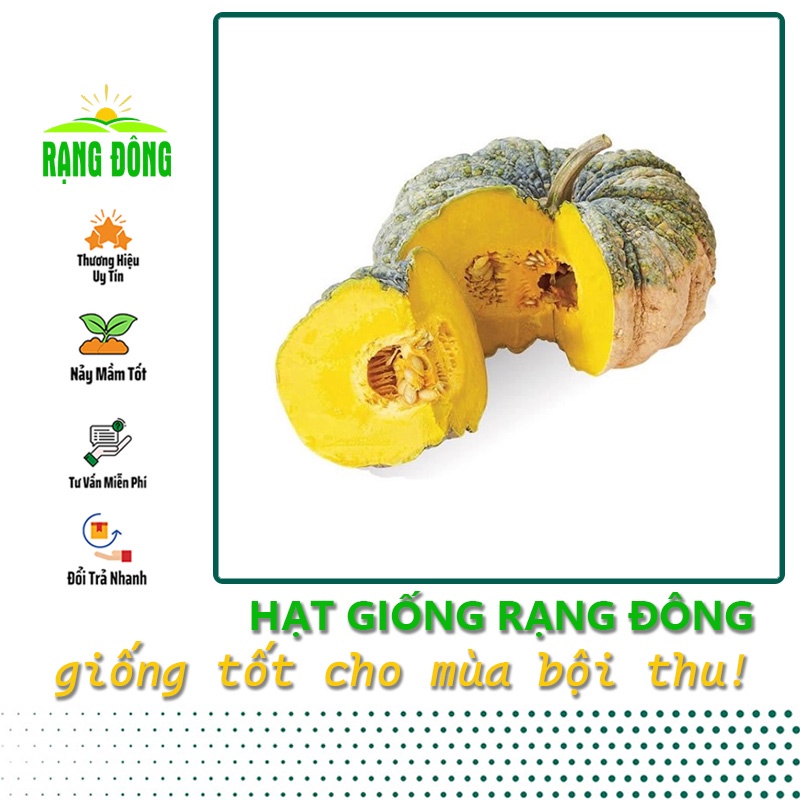 Hạt giống Bí Đỏ Da Cóc trồng quanh năm, thịt dày, thơm, ngọt, Hạt giống nảy mầm tốt (gói 5 hạt) - Hạt giống Rạng Đông