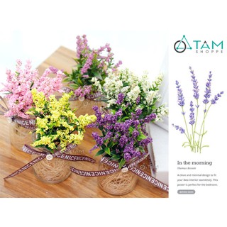 Chậu hoa nhỏ để bàn Lavender số 77