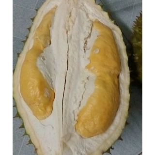 1,1kg cơm Sầu riêng Ri 6 Cai Lậy  bao ăn(freeship 70 k grab, now HCM)