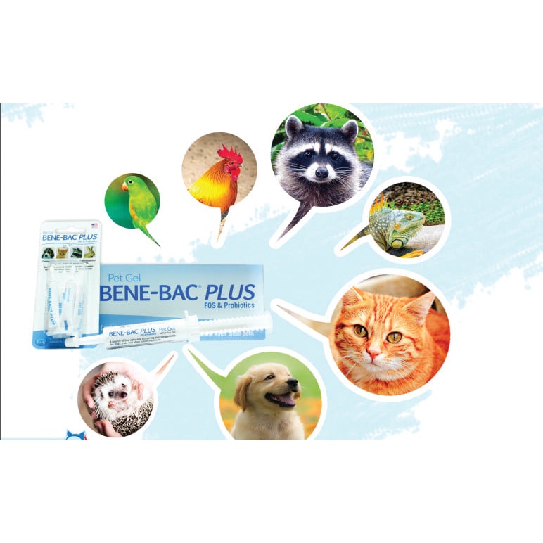 BENE-BAC PLUS - MEN ĐƯỜG RUỘT ĐẶC HIỆU CHO THÚ CƯNG