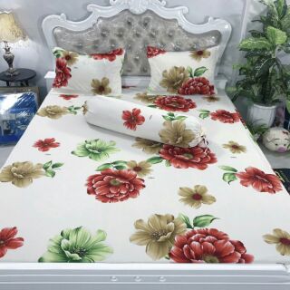 Set bộ grap thun thái phối 1,8m mền 2,2m