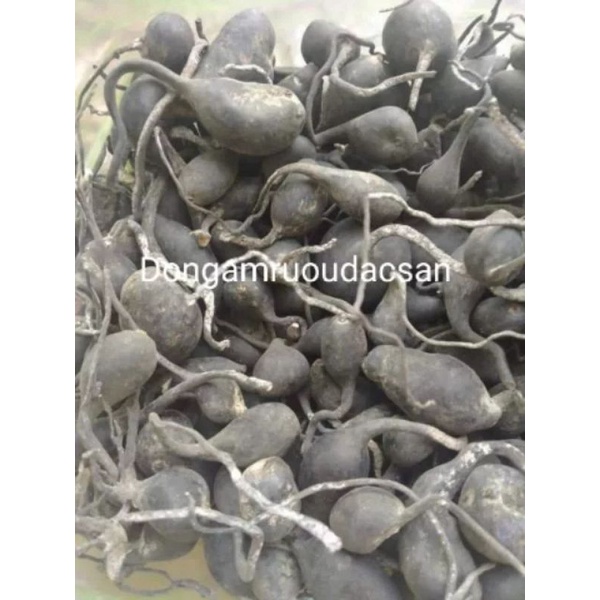 Sâm Ô Linh - Sâm Việt 100G sâm quý hiếm