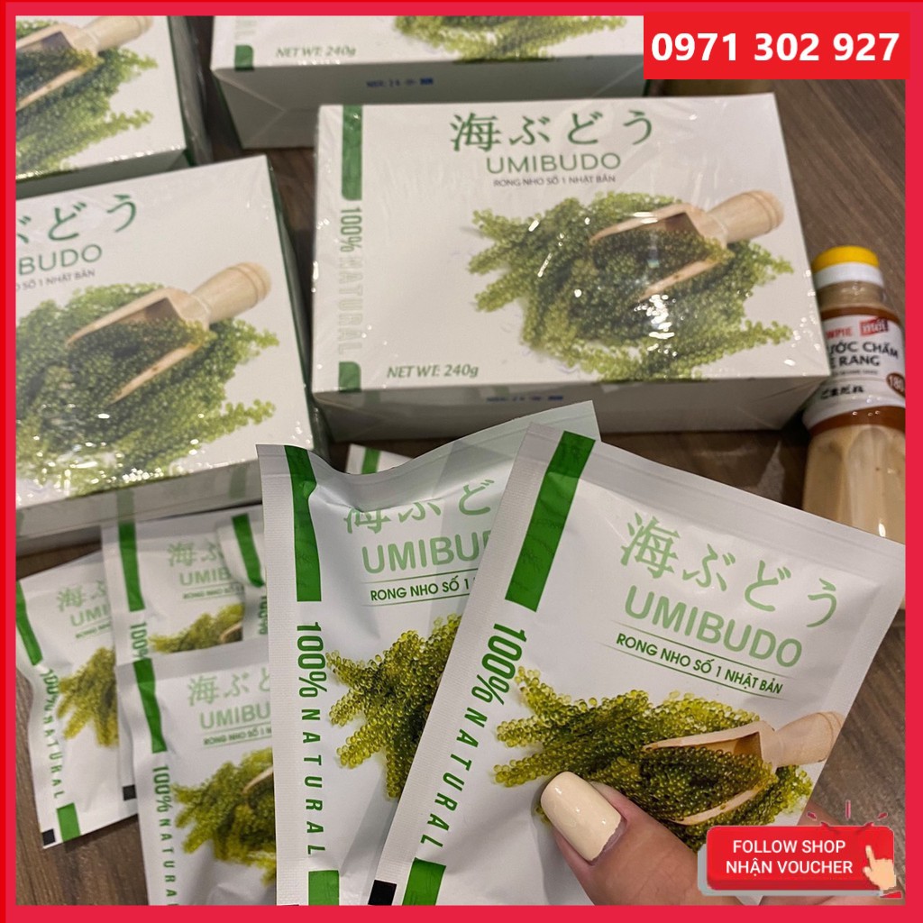 [FREESHIP] Rong Nho Tách Nước Umibudo Loại 1 Đạt Tiêu Chuẩn Xuất Khẩu.