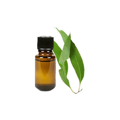 Tinh dầu bạch đàn chanh 10ml nguyên chất - AloAroma