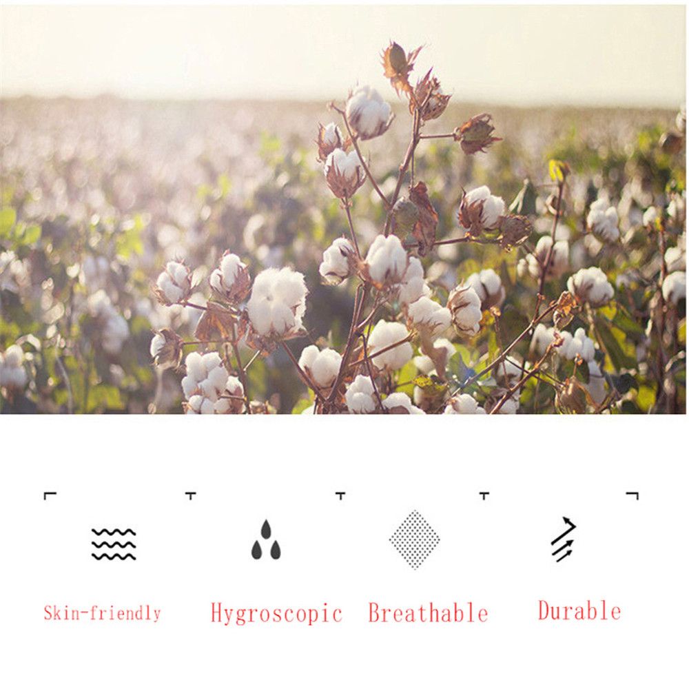 Vớ Cotton Thoáng Khí In Họa Tiết Hoạt Hình Nhiều Màu Sắc Phong Cách Harajuku Cho Nữ