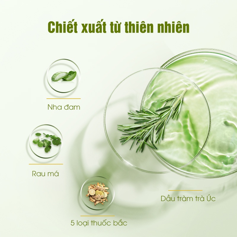 Gel chấm mụn chiết xuất tràm trà Chioture Tea Tree Removing Gel 15g