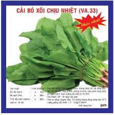 HẠT GIỐNG CẢI BÓ XÔI CHỊU NHIỆT GÓI 20 GRAM