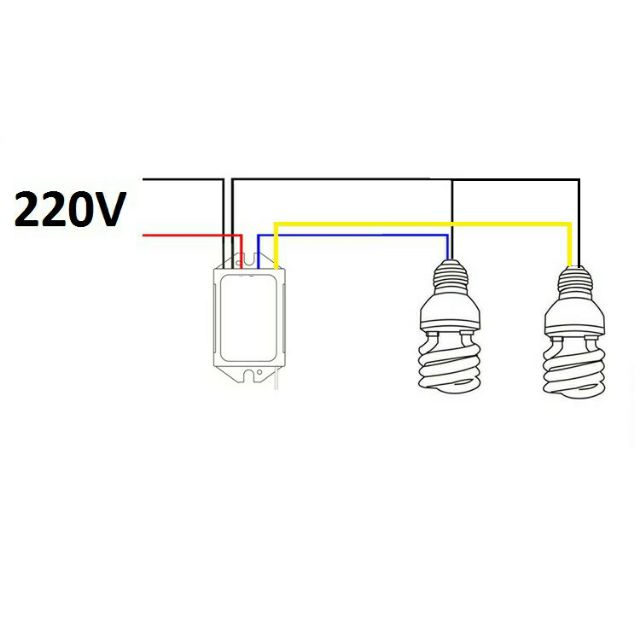 Công tắc điều khiển từ xa không dây 2 kênh (đen)