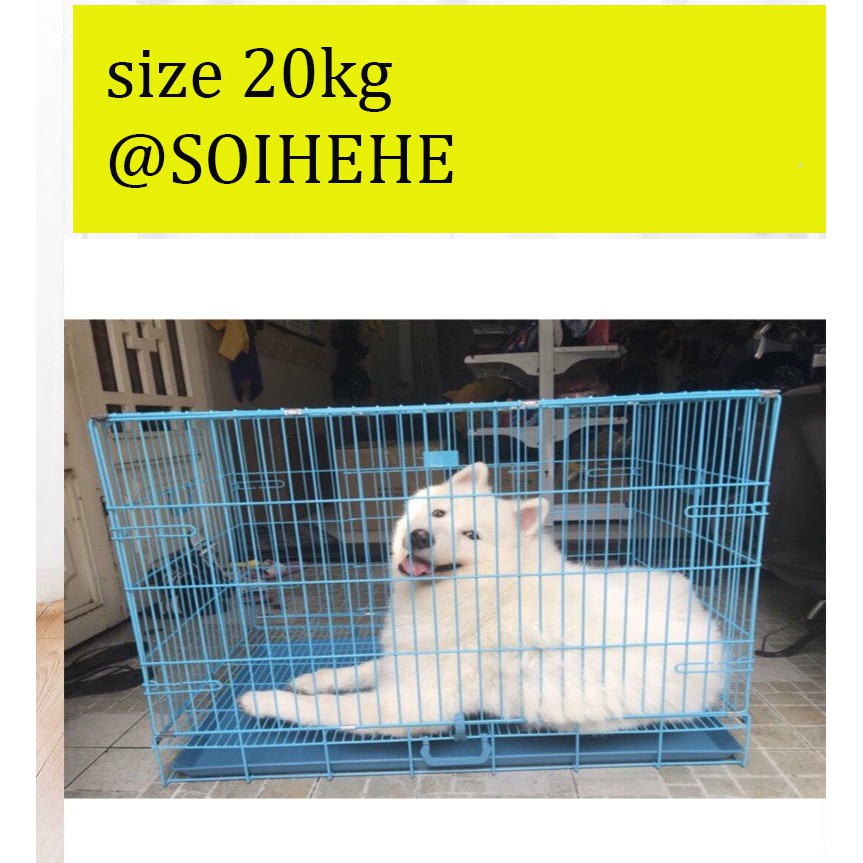 lồng sơn tĩnh điện chó mèo