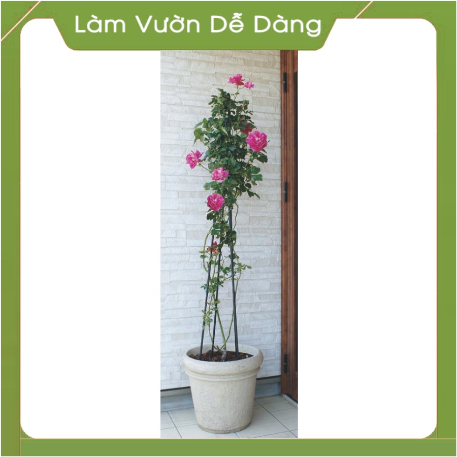 KHUNG ĐỠ CÂY HOA HÌNH KIM TỰ THÁP