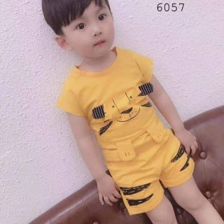 Set bộ hình thú ngộ nghĩnh cho bé