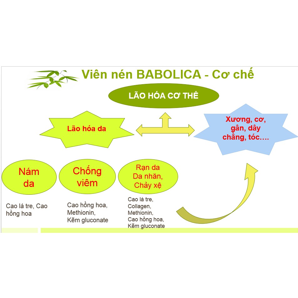 Viên uống Babolica - Hỗ trợ trị nám, da nhăn nheo, chảy xệ (Hộp 30 viên)