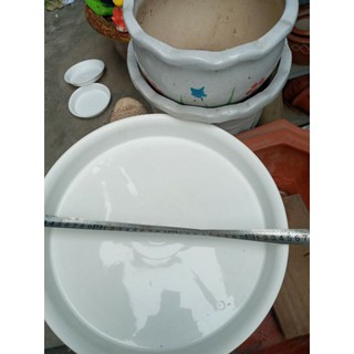 5 đĩa hứng nước phi 35cm mới về