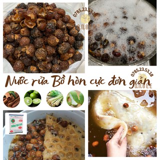 Quả bồ hòn khô