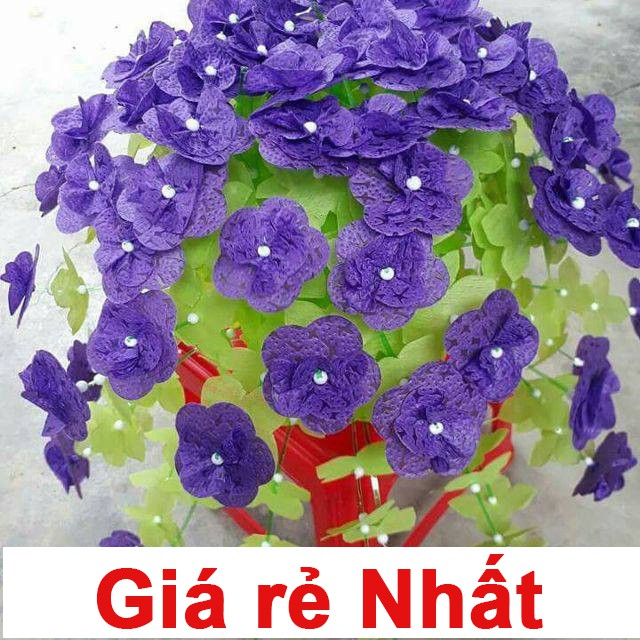 Nguyên Liệu Hoa Giấy Gấm (TẶNG CHẬU)