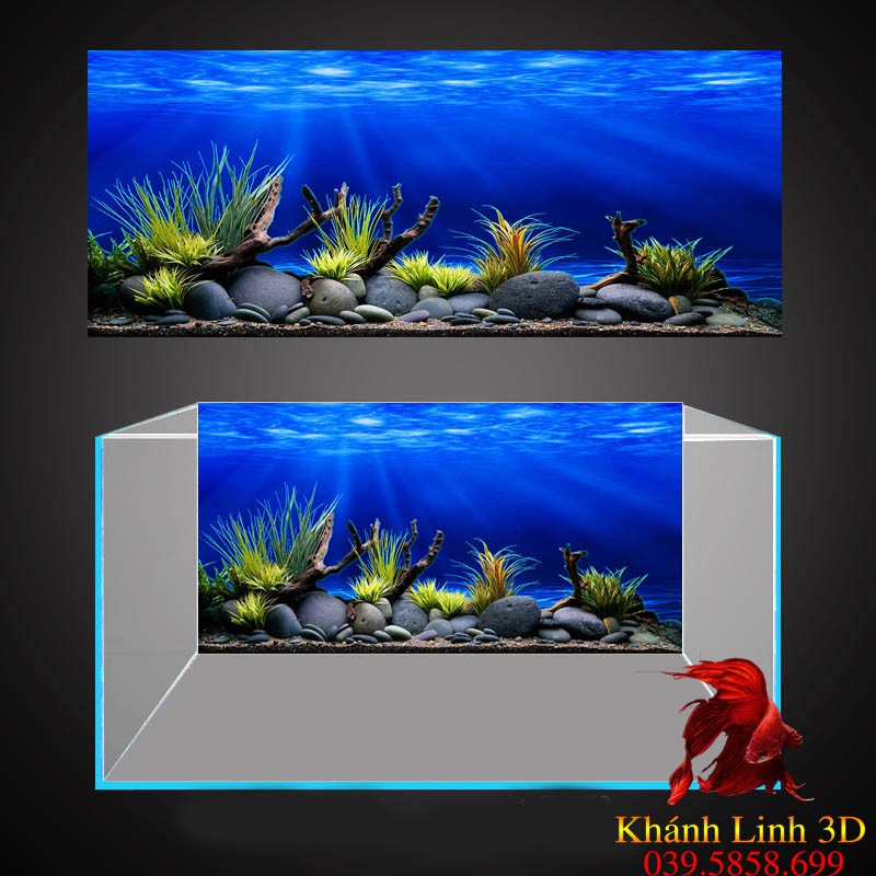 Tranh 3D Bể Cá Cảnh - Tranh Bể Cá Có Sẵn Keo, Tặng Kèm Bộ Dụng Cụ Dán