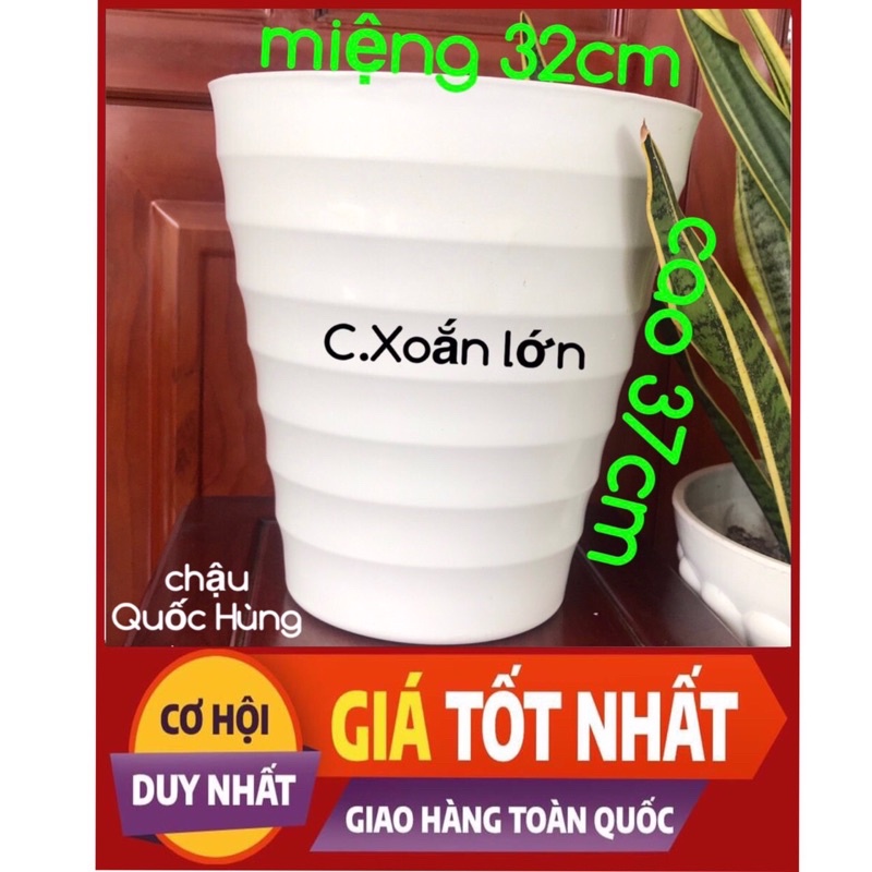 Chậu nhựa trồng cây,trồng hoa,trồng rau xoắn gân lớn