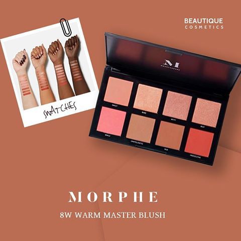 Má hồng Morphe 8W Warm Master 8 ô