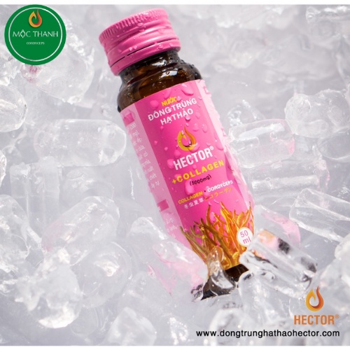 Hector Collagen Đông trùng hạ thảo dạng nước hộp 10 chai