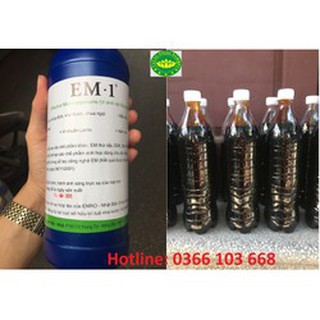 COMBO 1 chai EM gốc + 1 chai mật rỉ đường
