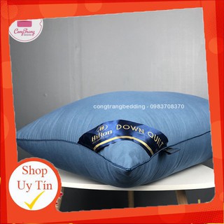 Ruột gối đầu cao cấp Pillow Ép Hơi, Có Khoá Kéo - Nhiều Màu Tiêu Chuẩn 5* -  Kích Thước 45x65cm