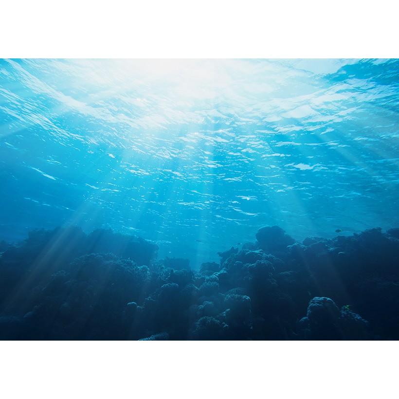 Xịt khoáng cấp nước từ nước biển dung nham innisfree Jeju Lava Seawater Mist EX 100 mL | BigBuy360 - bigbuy360.vn