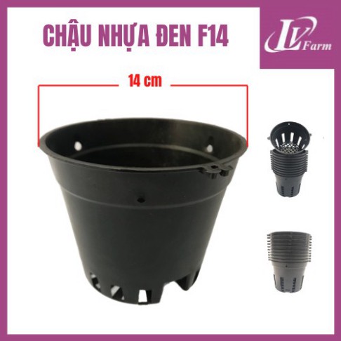 Chậu Nhựa Đen Phi 12-14-16-18-21-23 cm Trồng Hoa Lan, Cây Cảnh