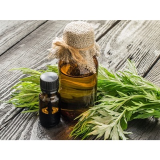 TINH DẦU NGẢI CỨU (MUGWORT)