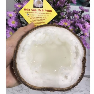 Dừa sáp Trà Vinh loại 1