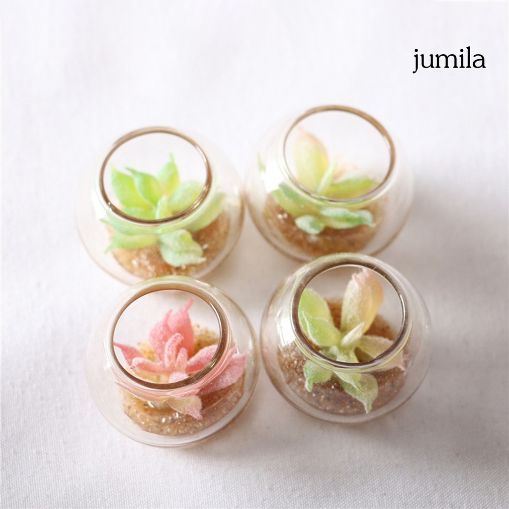 Chậu Cây Mọng Nước Mini Trang Trí Nhà Búp Bê