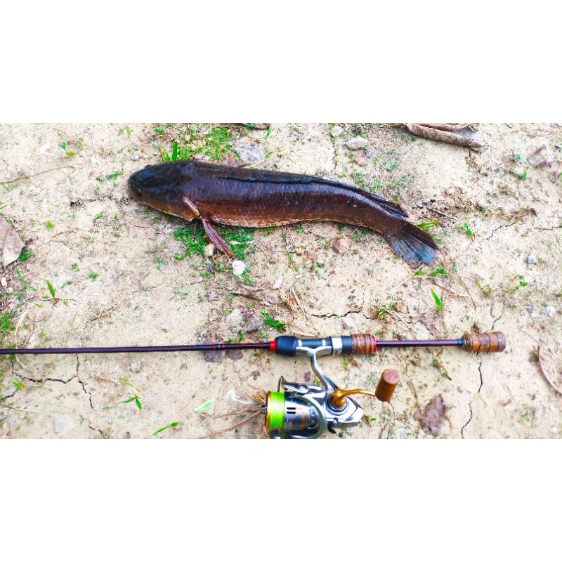 Mồi Câu Cá Sắt Orochi, Fishen, R45, PL456 Full Lưỡi