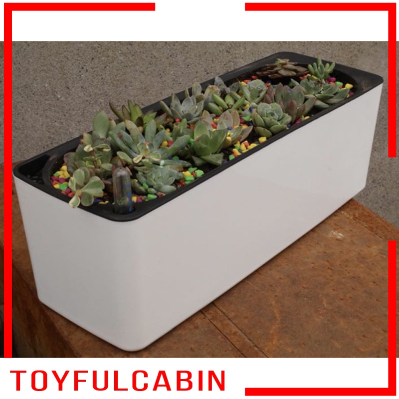 Bình Tưới Cây Tự Tưới Nước Hình Chữ Nhật Bằng Nhựa Màu Trắng