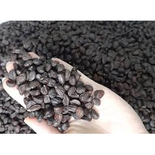 100g DỔI NẾP CỔ THỤ THƠM NỨC MŨI