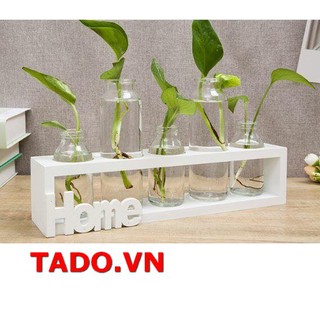 [ loại đẹp ] Set gồm kệ và lọ bình thủy tinh nghệ thuật HOME trang trí nhà bạn GD654