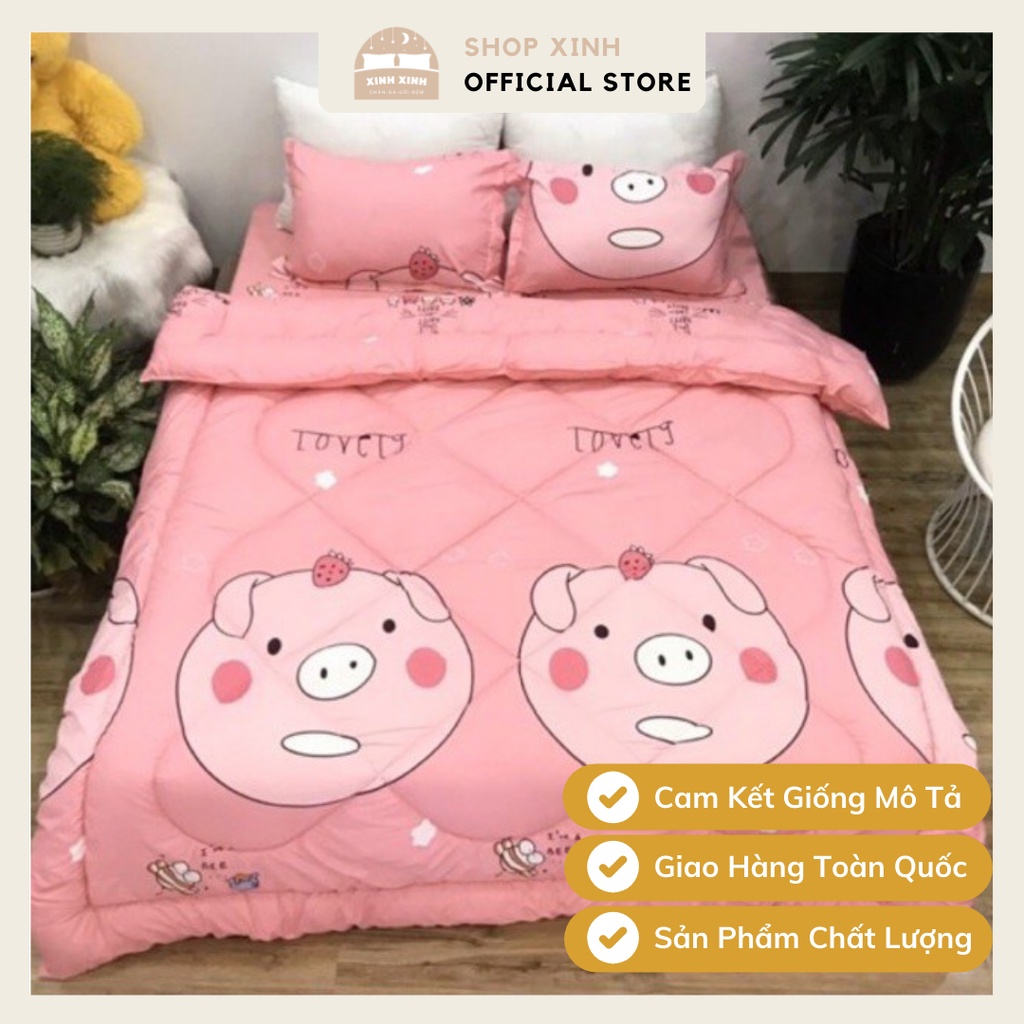 Bộ 5 món chăn phao poly cotton và ga gối mềm, mịn chần bông dày loại 1 mềm êm được chọn mẫu