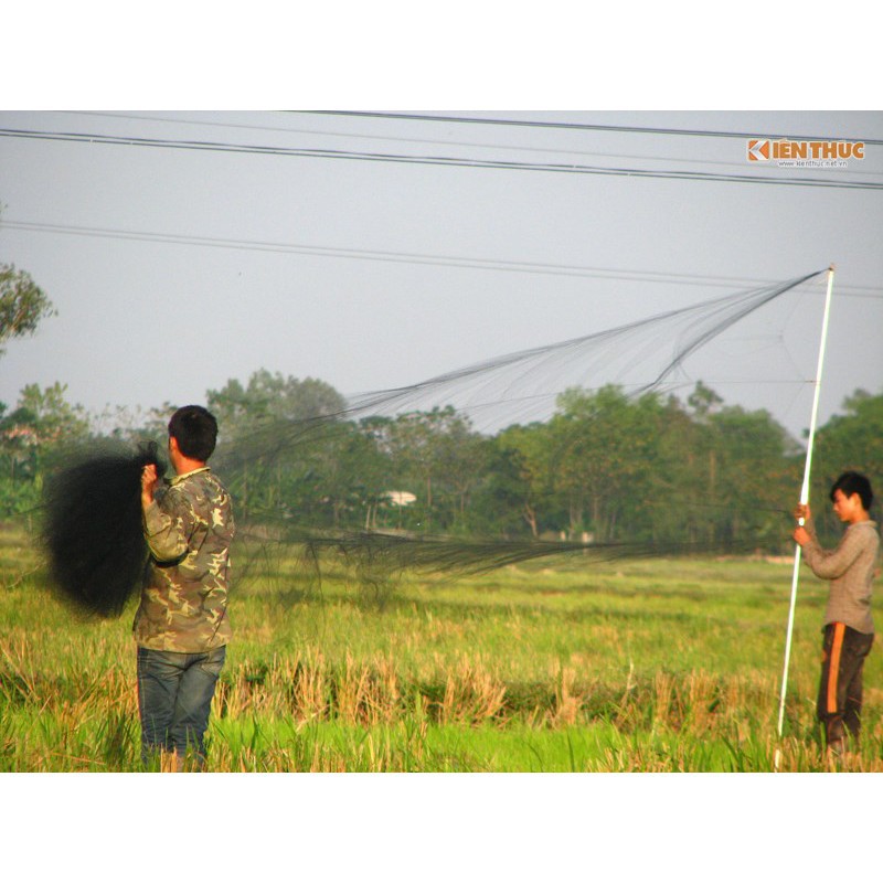 [Xả Kho] Lưới Bẫy Chim Sẻ, Chim Khuyên Thái Lan, Cao 5m, Mắt lưới 3p, dài 10m-50m kangh