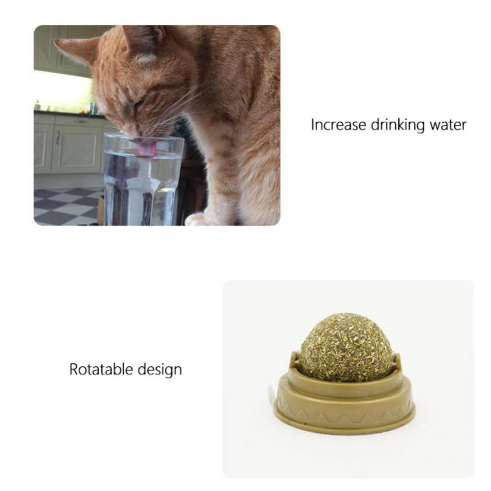 Bóng Catnip Bạc Hà Đồ Chơi Gắn Tường Kèm Hộp Đựng