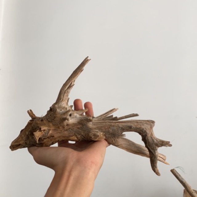 Lũa nhẹ - 1 khúc