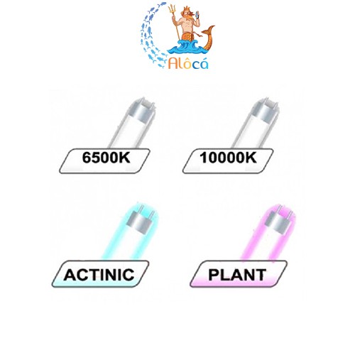 Đèn LED 2 Hàng Bóng Dual Pro T5HO 60cm, 90cm - 100cm, 120cm - 140cm, 150cm tanning cho cá rồng