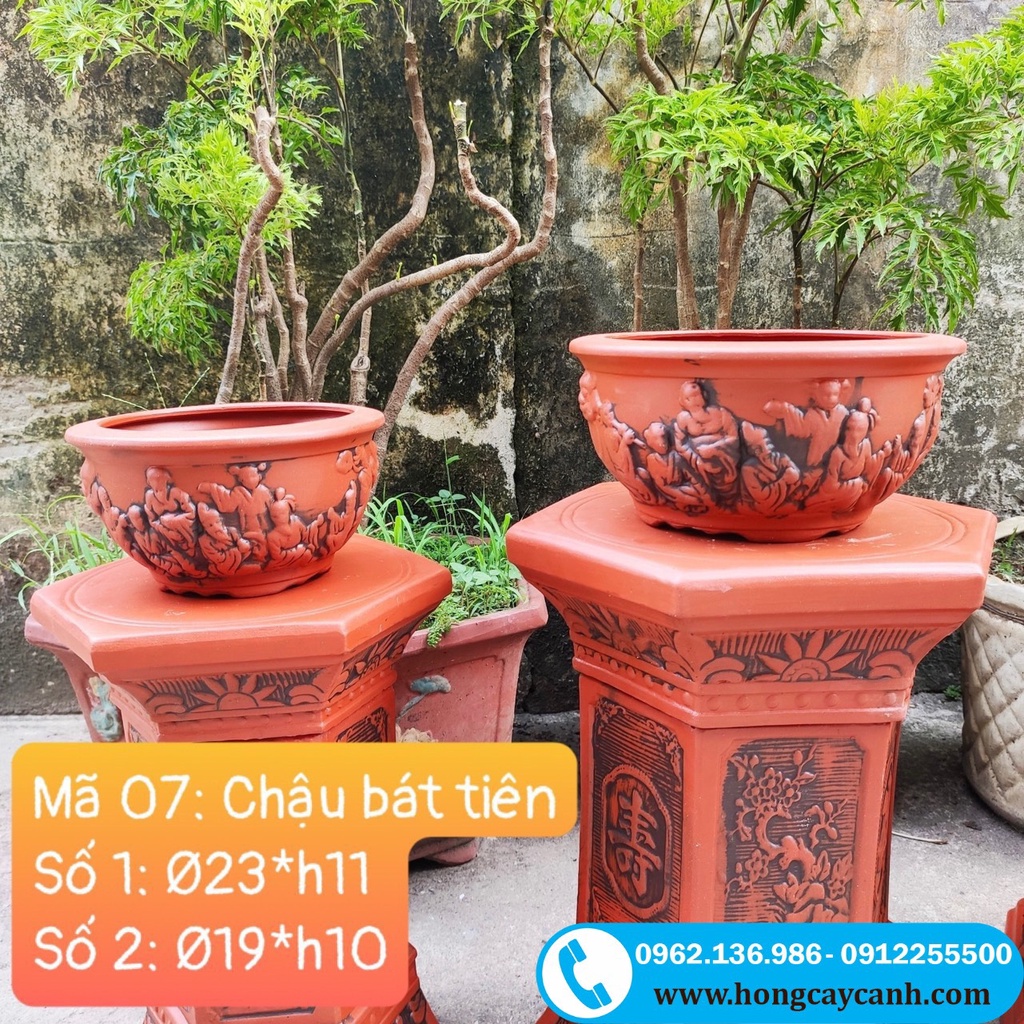 Chậu Gốm Bát Tiên II Chậu Gốm II Chậu Trồng Cây