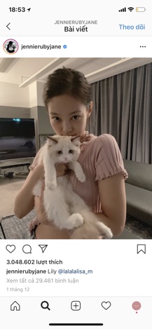 Áo Jennie hồng