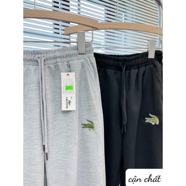 mã 5004- QUẦN BOMBER NAM DẬP LOGO CÁ SẤU